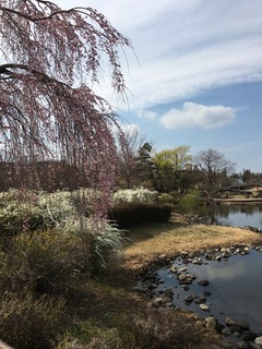 IMG_1182.jpg